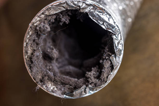 Best Air Duct Cleaning Company Near Me  in Gravette, AR